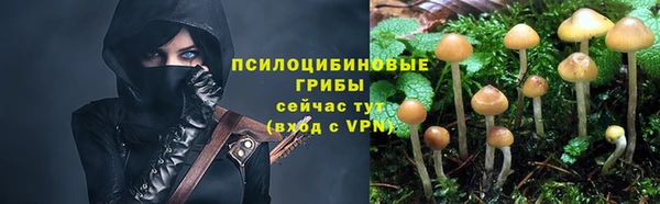 дмт Касимов