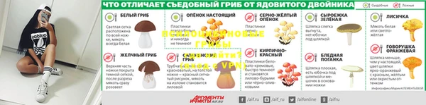 дмт Касимов