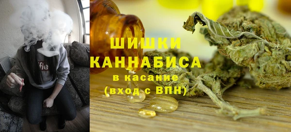 дмт Касимов